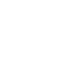 Programa VAI logo